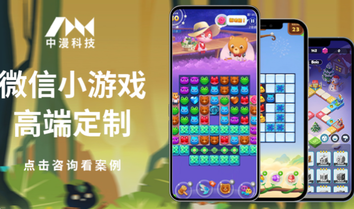 游戏软件开发